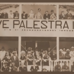 história do plameiras