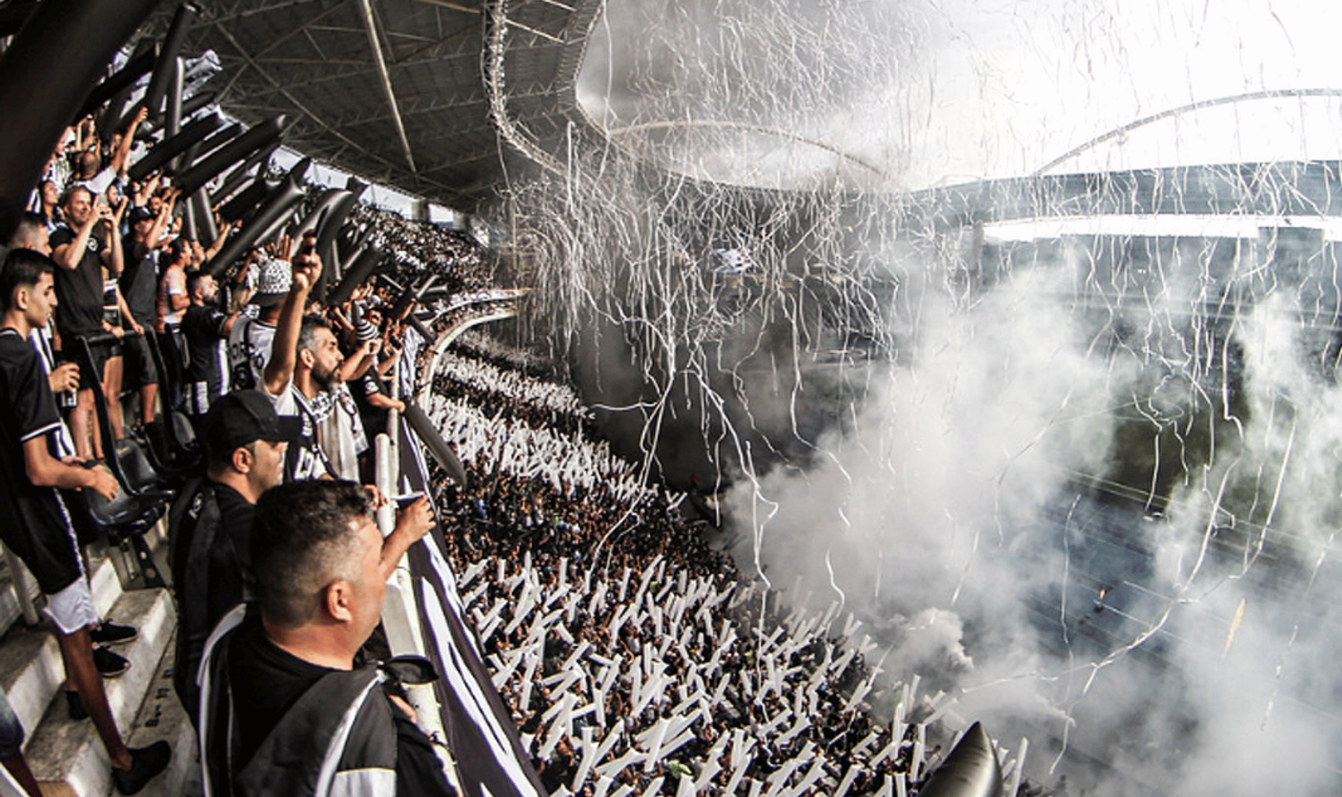 Botafogo Torcida