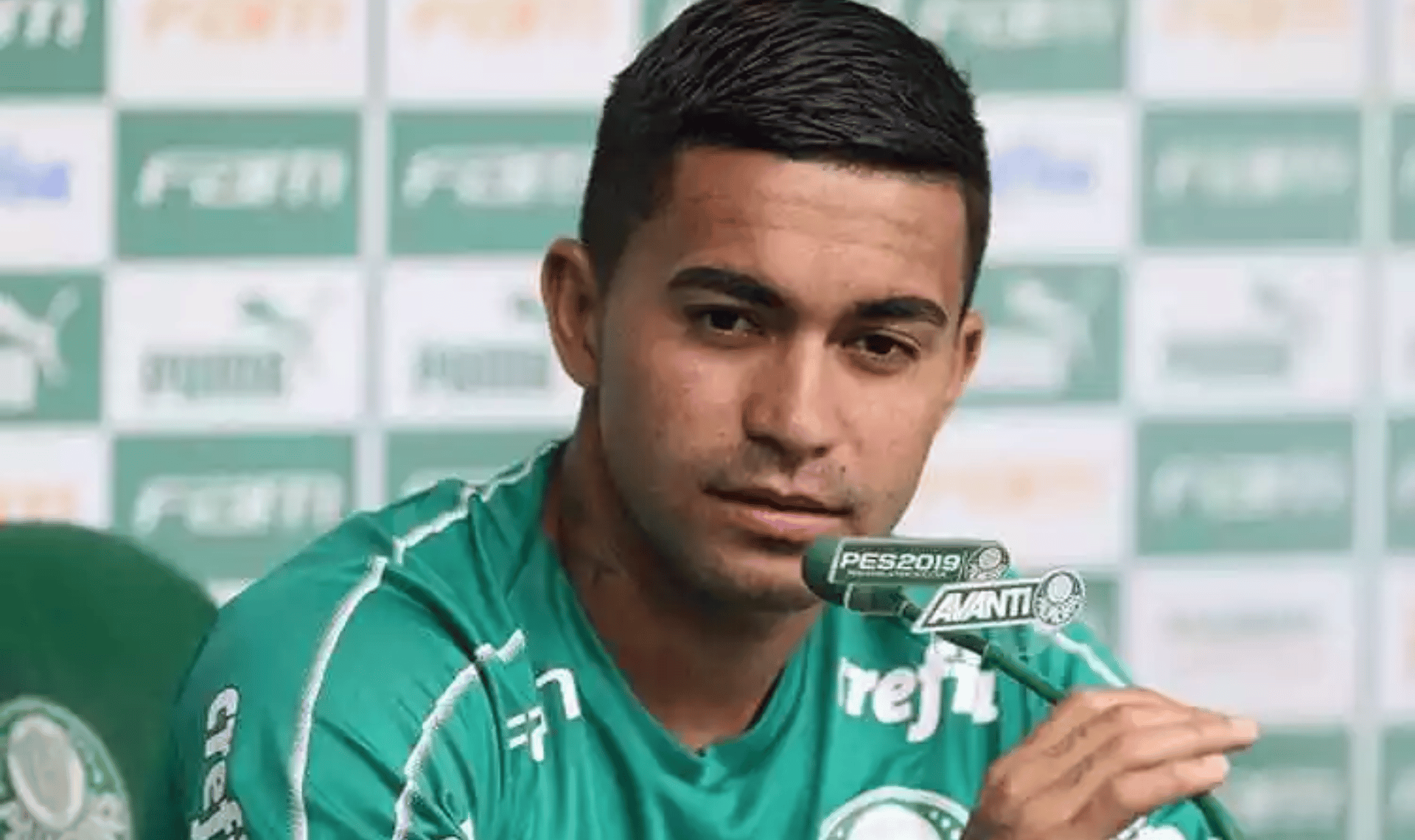 Dudu do Palmeiras