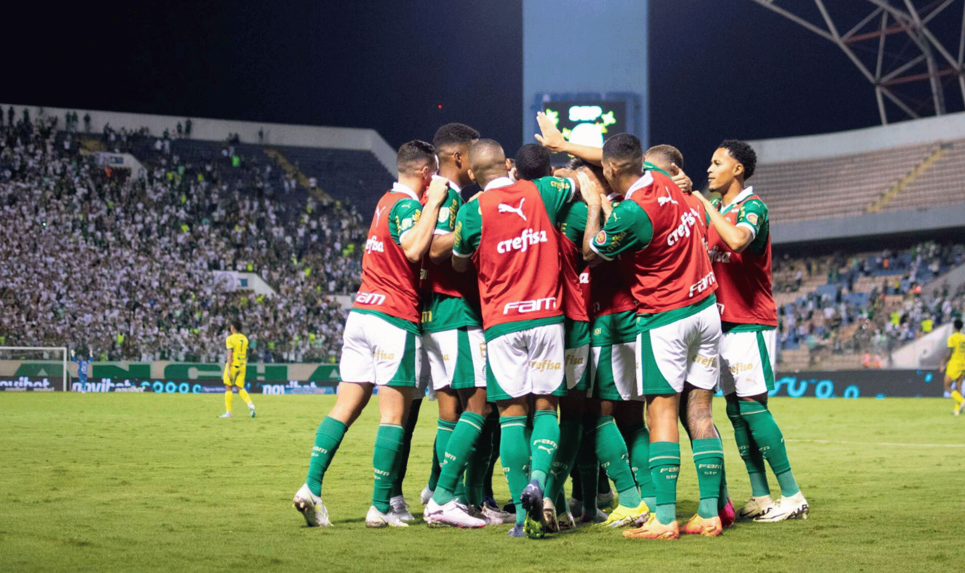 Palmeiras nas Quatas (1)