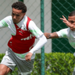 palmeiras x portuguesa