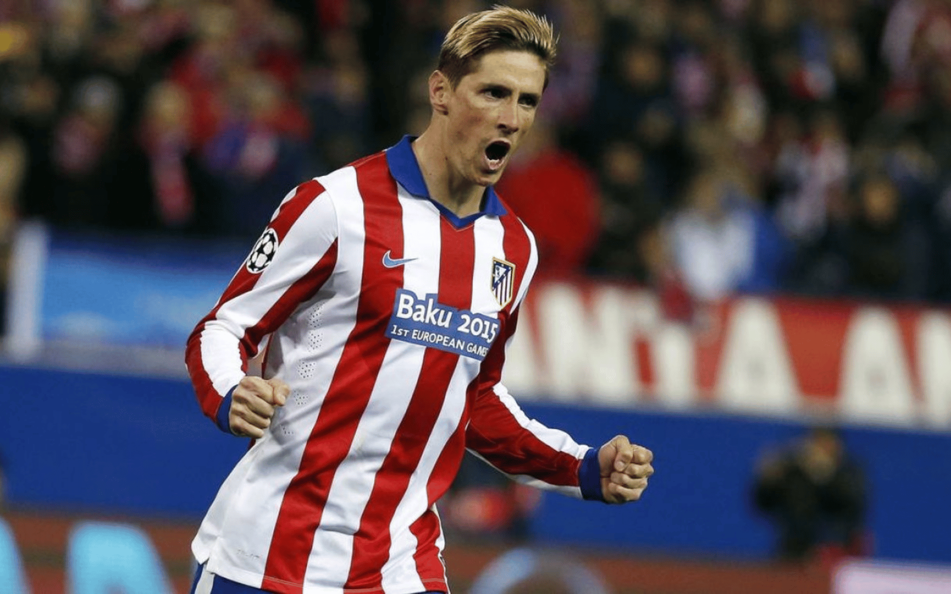 Fernando Torres (1)
