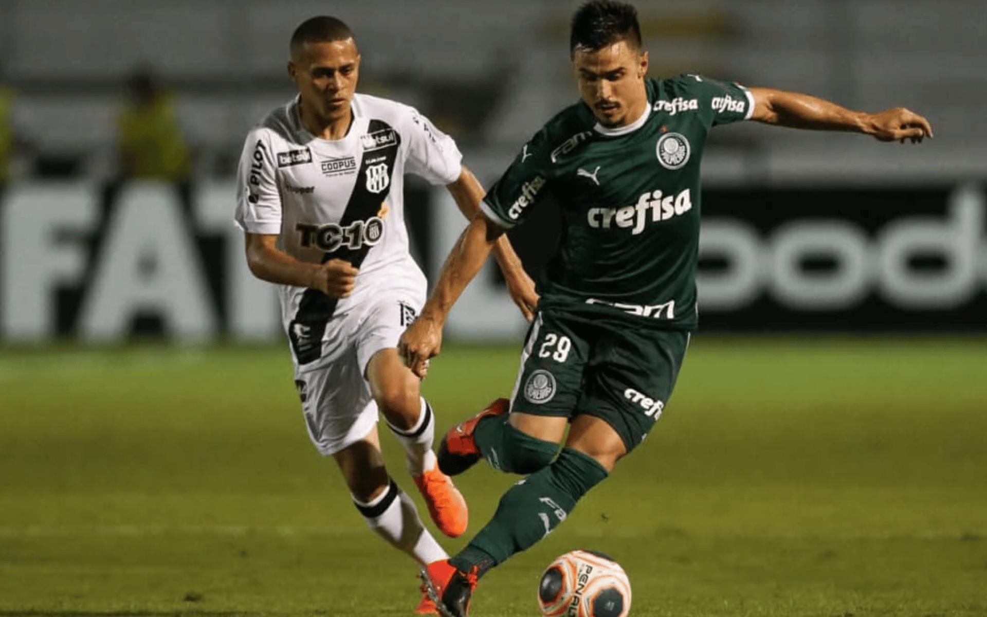 _Palmeiras x Ponte Preta na Arena Barueri
