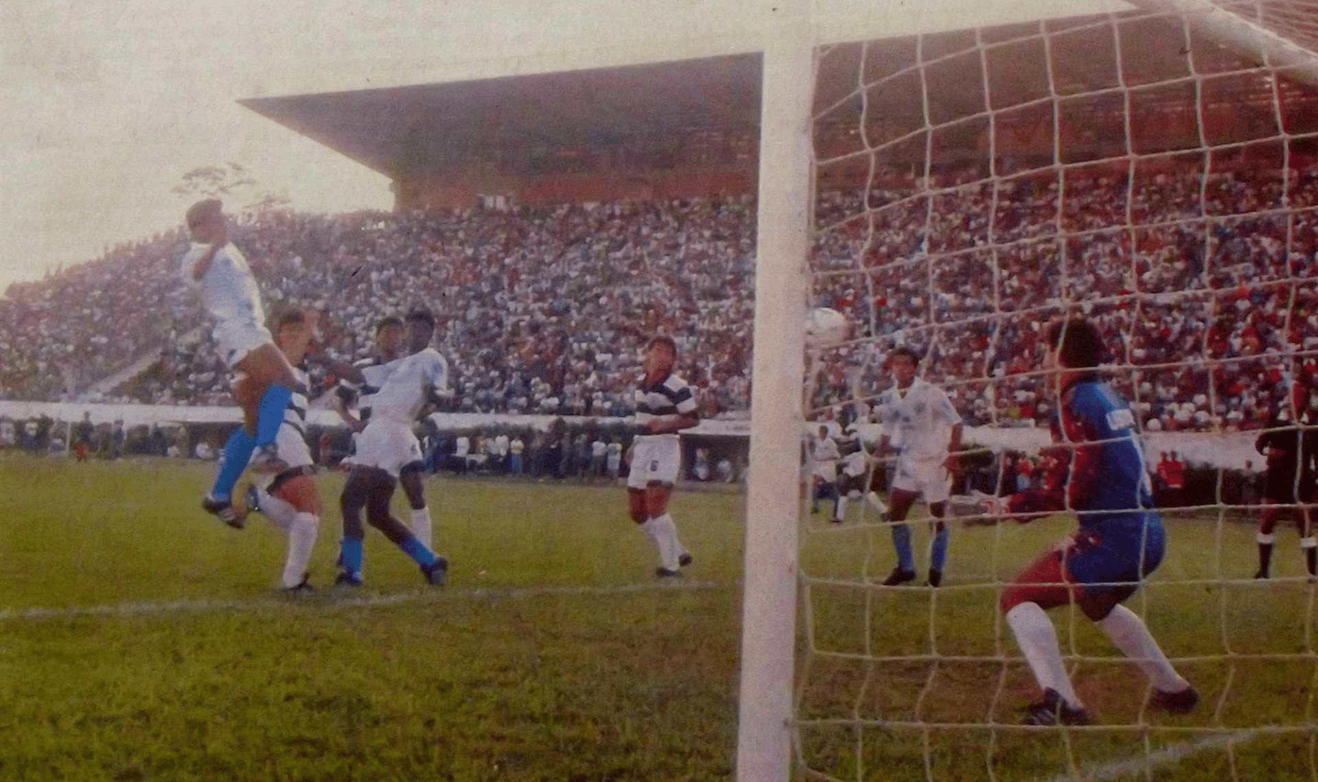 londrina (7)