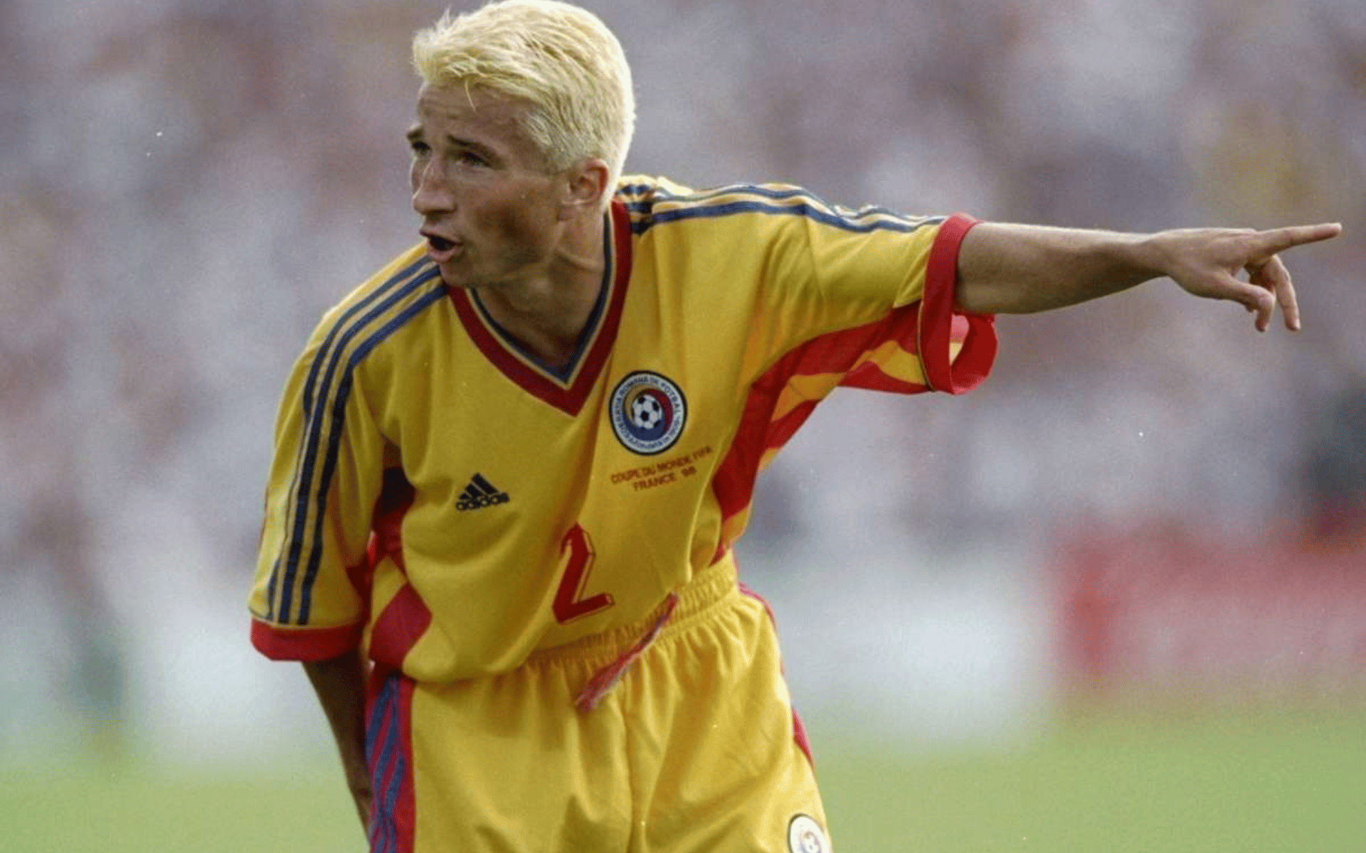 Dan Petrescu