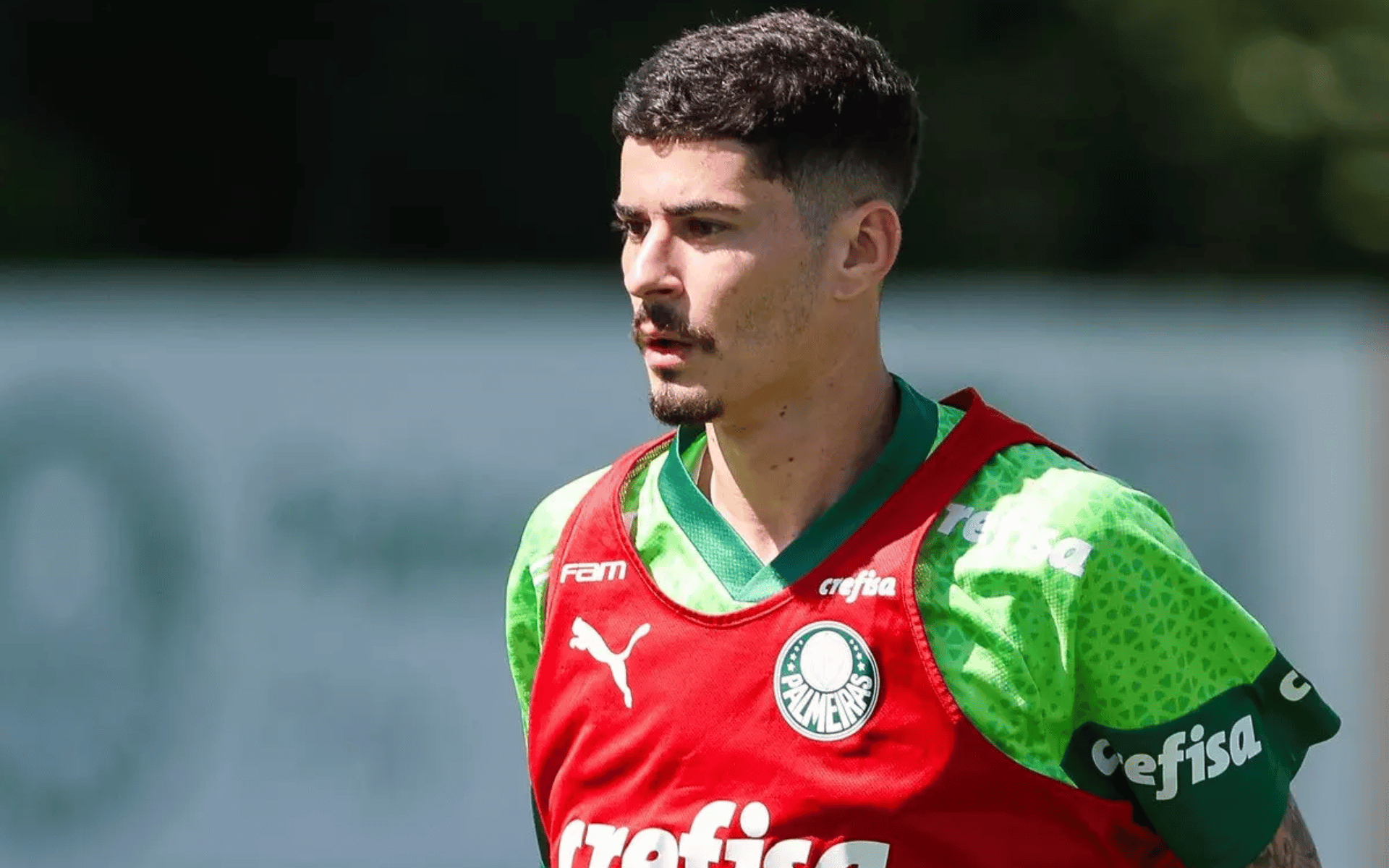 Palmeiras na libertadores (1)