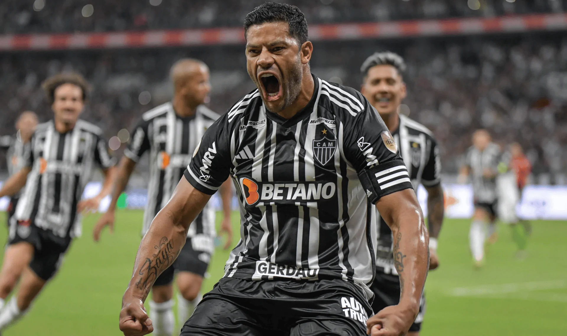 holk no galo