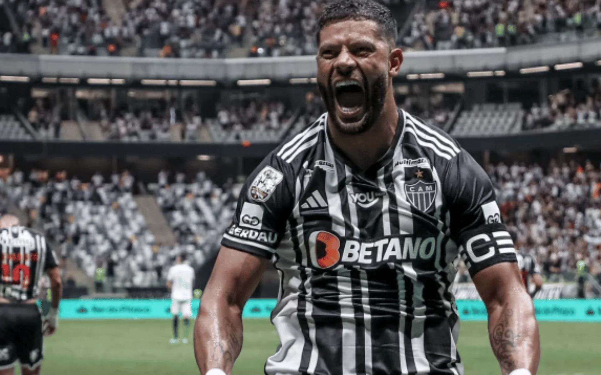 Galo