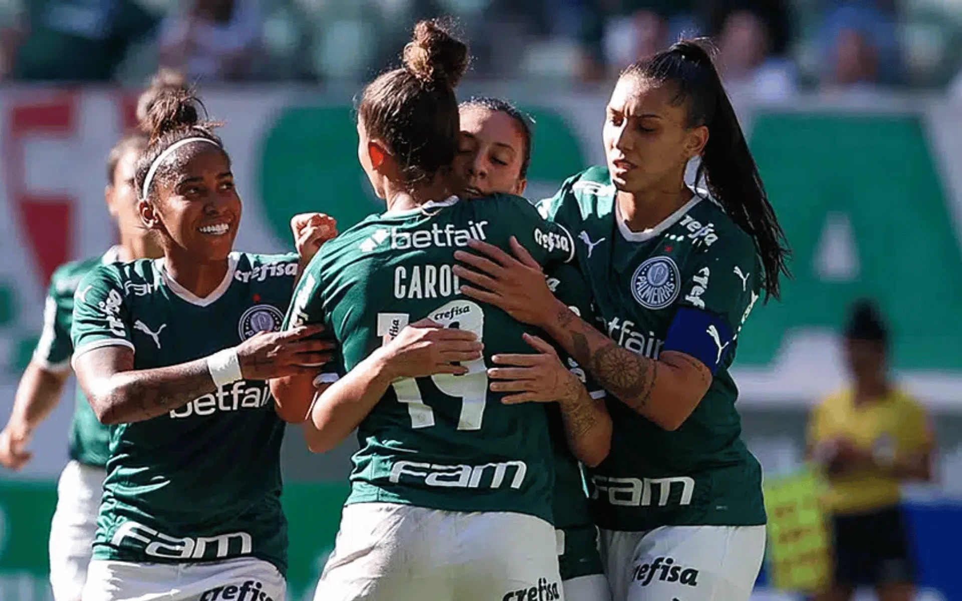 Palmeiras (6)